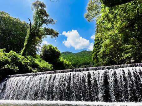 川遊び 川遊びの写真