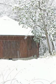 降雪 降雪の写真