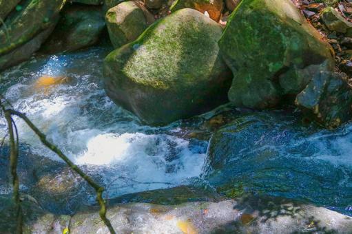 渓流 川,流れ,自然の写真素材
