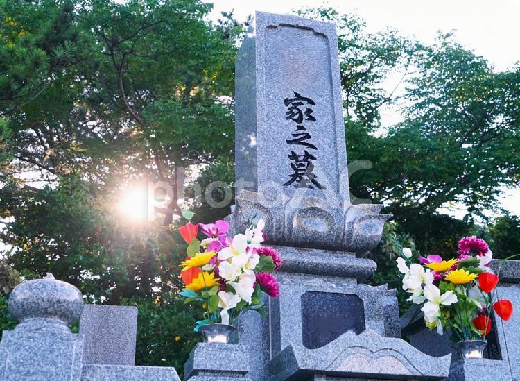 夕刻の供養場の木漏れ日 お盆,墓,日光の写真素材
