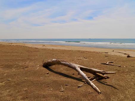 太平洋ロングビーチ 太平洋ロングビーチ 海岸,砂,砂浜の写真素材