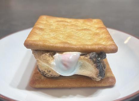 Roasted marshmallows sandwiched between snacks, JPG