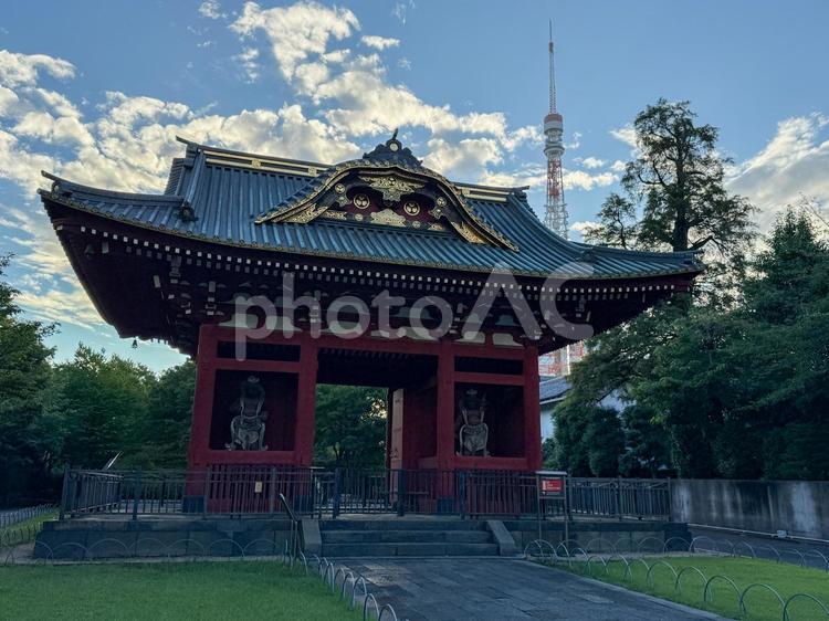 夕方の芝公園　旧台徳院霊廟惣門 旧台徳院霊廟惣門,東京タワー,風景の写真素材