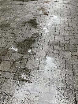 雨上がりの路面 雨上がりの路面 路面,雨降り,水たまりの写真素材