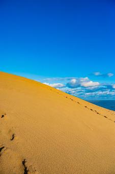 鳥取県　鳥取砂丘の風景 鳥取砂丘,日本の風景,自然の写真素材