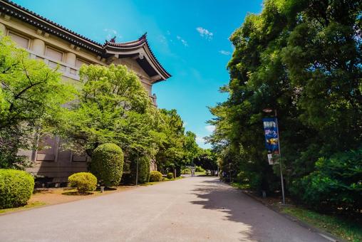 【東京】上野国立博物館 2025 【東京】上野国立博物館 2025 上野,国立博物館,博物館の写真素材