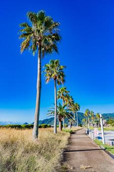 静岡県　広野海岸公園の風景 静岡,静岡県,静岡市の写真素材