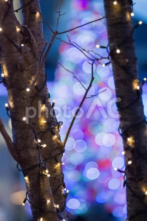 クリスマスのイルミネーション２ hikari,night,ひかりの写真素材