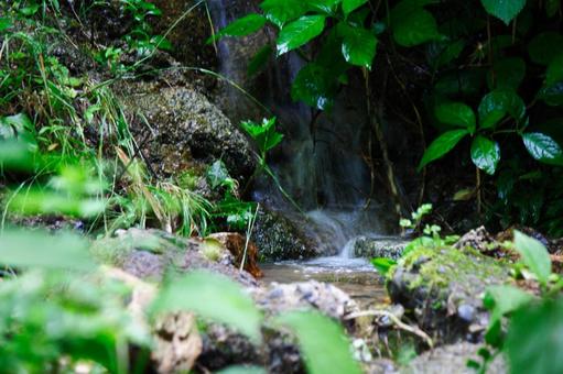 登山道の水場 登山道の水場の写真