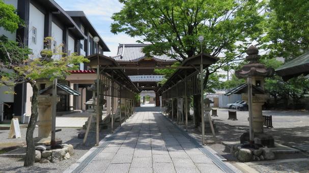 桑名宗社 春日神社 参道から楼門 桑名宗社 春日神社 参道から楼門の写真