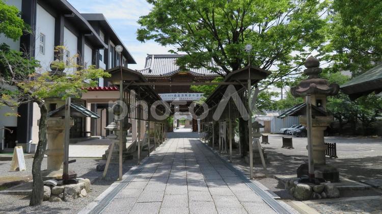 桑名宗社　春日神社　参道から楼門 桑名宗社,春日神社,石取祭の写真素材