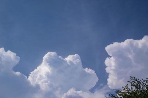 夏雲 夏雲の写真
