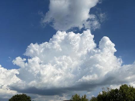 夏の雲 夏の雲の写真