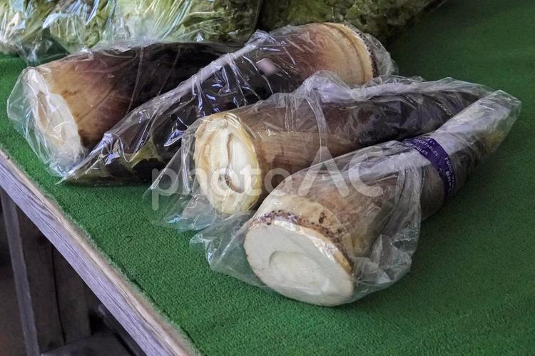 タケノコの売り物 竹,竹藪,掘るの写真素材