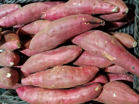 八百屋さんのさつまいも さつま芋,八百屋,たくさんの写真素材