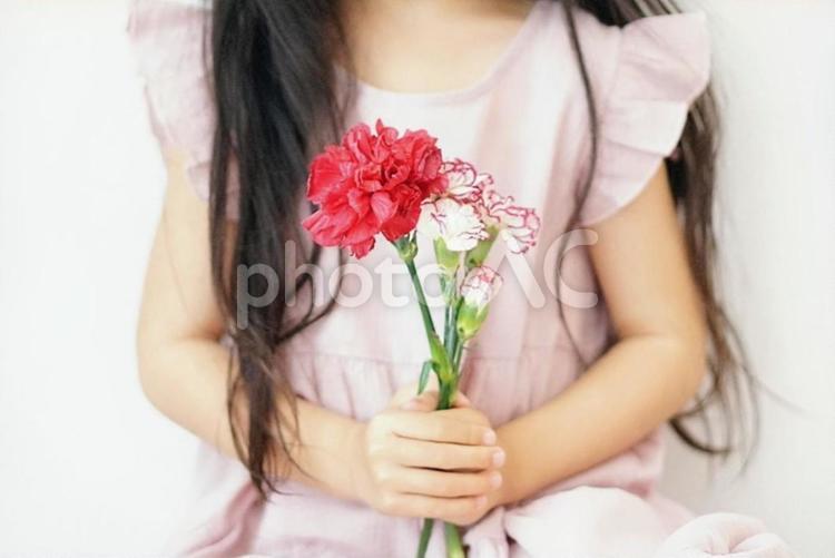 カーネーションを持った女の子(母の日) 母の日,カーネーション,子供の写真素材
