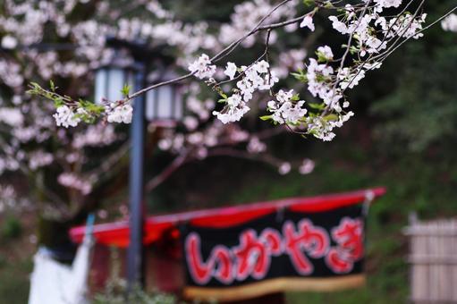 桜の花見と屋台 桜の花見と屋台の写真