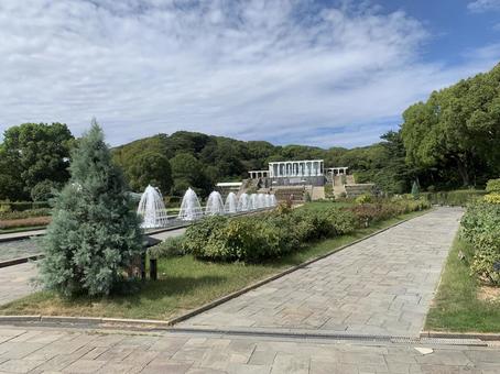 須磨 離宮公園 須磨 離宮公園 兵庫,神戸,須磨の写真素材