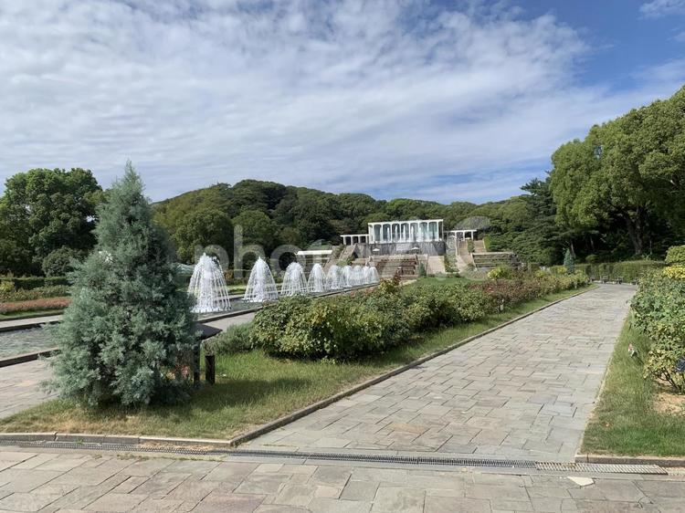 須磨　離宮公園 兵庫,神戸,須磨の写真素材