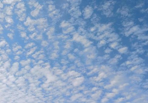 幻想的なうろこ雲-1 幻想的なうろこ雲-1の写真