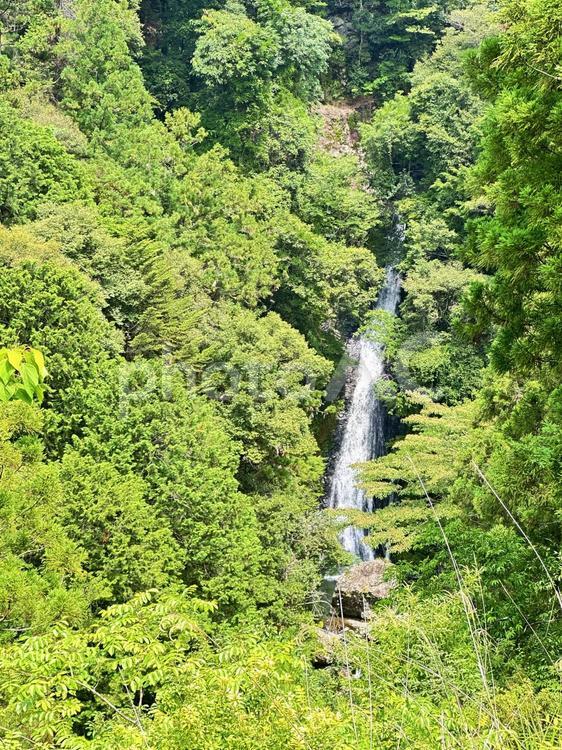 北山村　飛地　なべわりの滝 山,風景,里山の写真素材