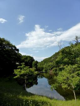 初夏の鎌倉中央公園、上池の風景 初夏の鎌倉中央公園、上池の風景の写真