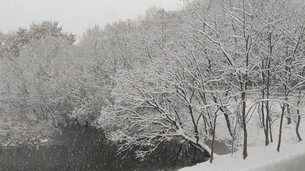 雪景色 雪景色の写真