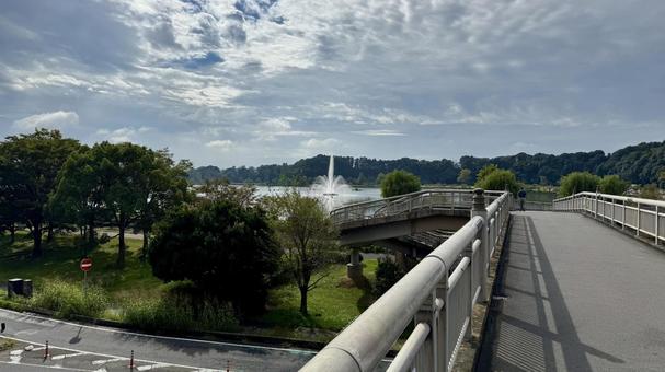 歩道橋 歩道橋の写真