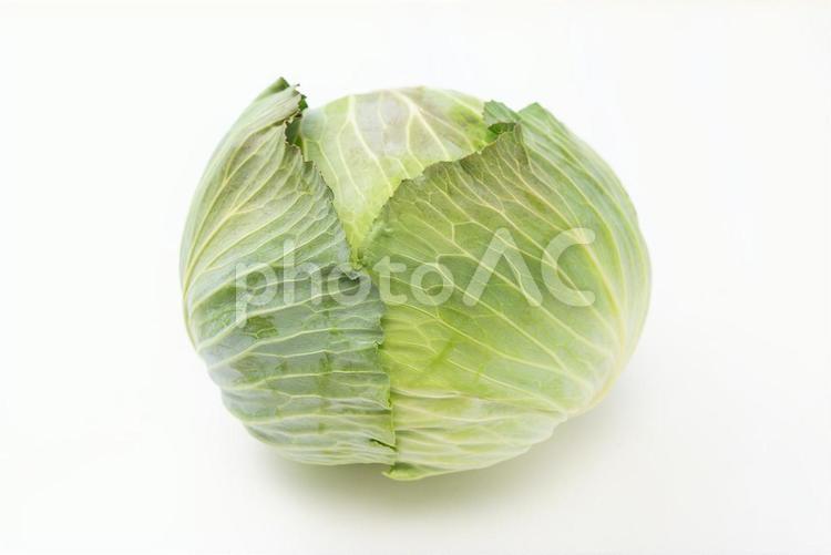 白背景にキャベツ キャベツ,野菜,農作物の写真素材