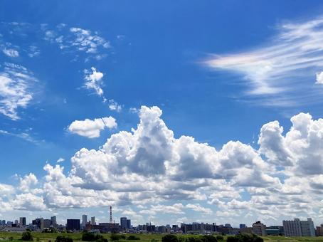 夏空 夏空の写真