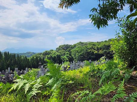 お墓参り 初秋 お墓参り 初秋 秋,初秋,墓参りの写真素材