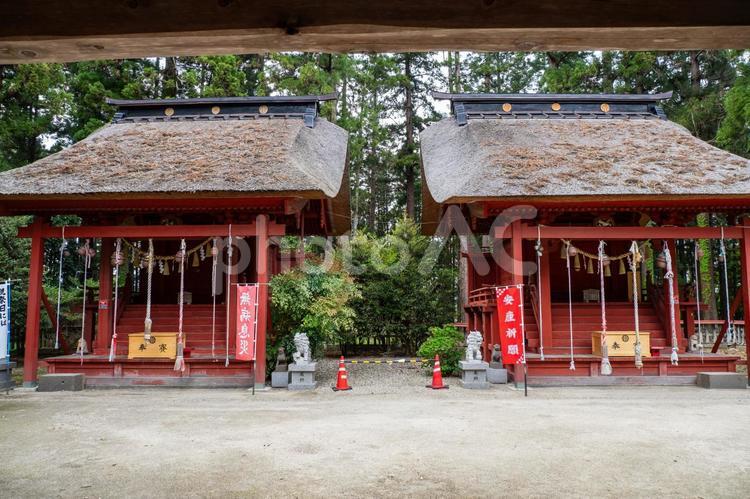 加茂神社⒁ 神社,加茂神社,仙台市の写真素材