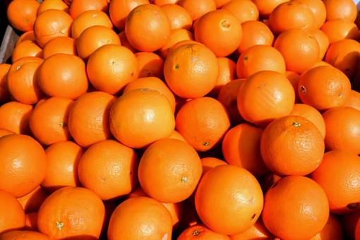 半分のオレンジ オレンジ,食べ物,植物の写真素材