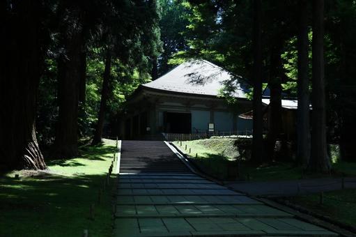 中尊寺金色堂 中尊寺金色堂 金色堂,中尊寺,岩手県の写真素材