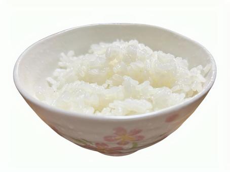しろごはん しろごはんの写真
