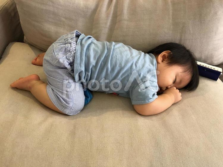 ソファで眠る1歳の男の子 幼児,子供,男児の写真素材