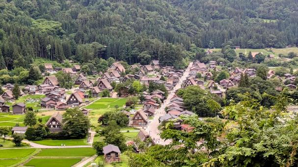 初夏の白川郷 白川郷,白川村,岐阜県の写真素材
