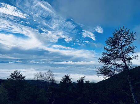 雲海 雲海,青空,雲の写真素材