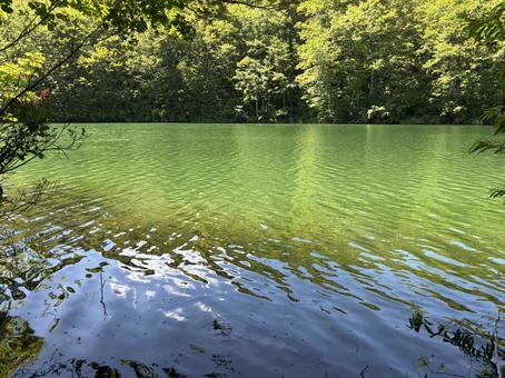 夏の鎌池 長野県小谷村 夏の鎌池 長野県小谷村の写真