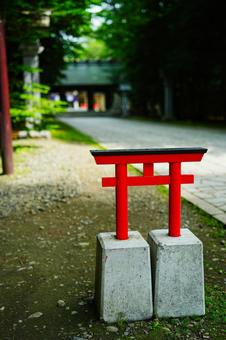 神社の境内 神社の境内の写真