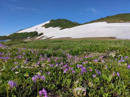 Mountains of Japan Mountains of Japanの写真