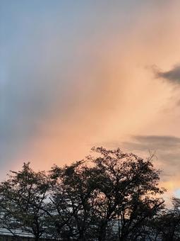 夕焼け 夕焼けの写真