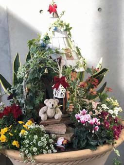 クリスマスの寄せ植え クリスマスの寄せ植え クリスマス,ガーデニング,花の写真素材