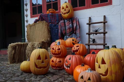 ハロウィン・カボチャ ハロウィン・カボチャの写真