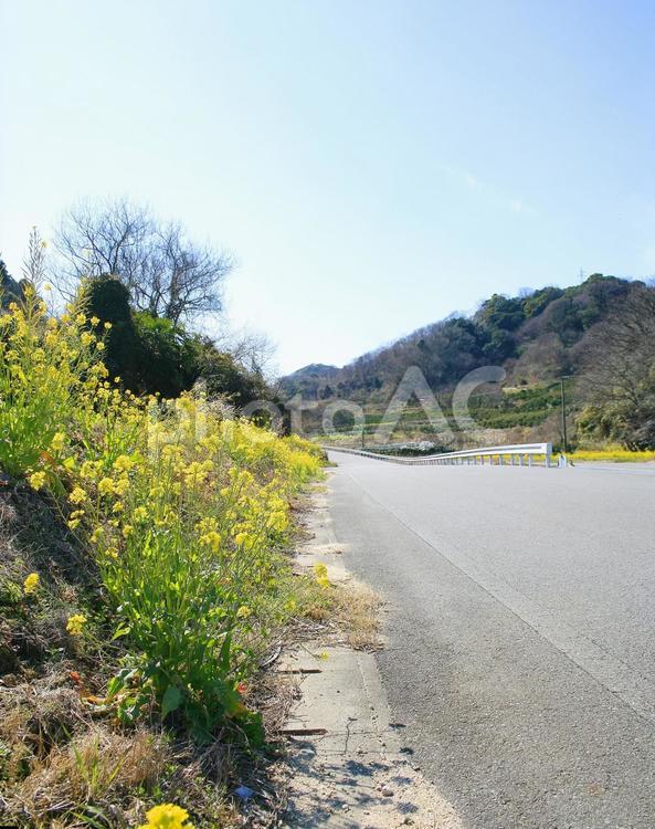 早春の田園風景-02 春,春景色,風景の写真素材