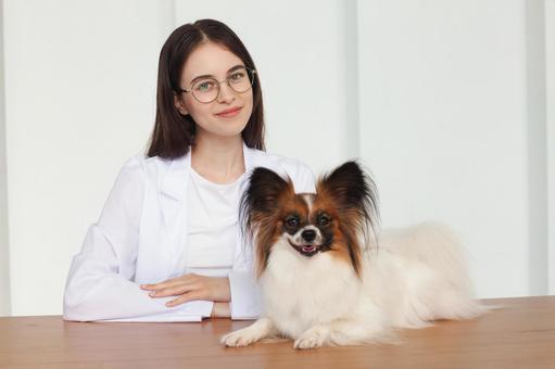 伏せをしているペットと女性 保険,契約,ペット保険の写真素材