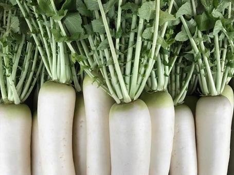 Fresh radish, Fresh radish, อาหาร, มีคนไม่มีอะไร, สุขภาพ,