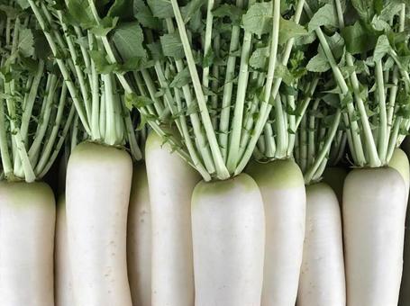 Fresh radish, thức ăn, có gì mọi người, sức khỏe, JPG