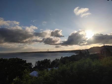 木漏れ日 木漏れ日の写真