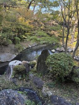 カモ カモ,かも,鳥の写真素材